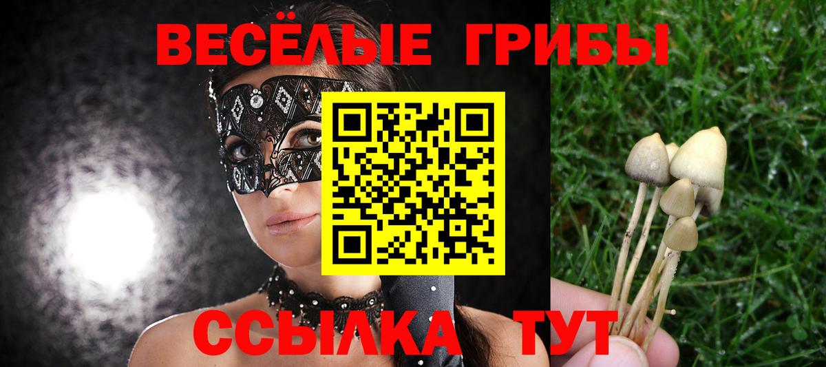 Галлюциногенные грибы ЛСД Назарово